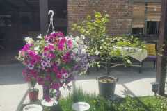 IMG-242a8cc13858745f010f7a4442541714-V
