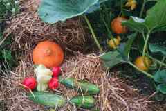 IMG-369a1a4b7ebfa88f60ae98339bb6327d-V