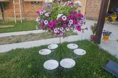 IMG-54da48948e7c16281160131f2ce3d530-V-1