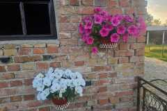 IMG-587a21b100b2be48957cfa51b5e2022c-V