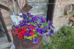 IMG-f1af13965632b8704a79e96fd307b676-V